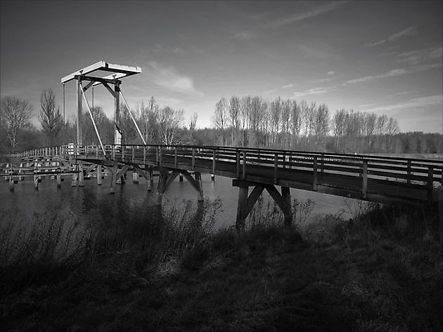 Natuurgebied Bad Nieuweschans - RTV GO! Omroep Gemeente Oldambt