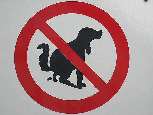 Strengere regels voor het uitlaten voor honden - RTV GO! Omroep Gemeente Oldambt