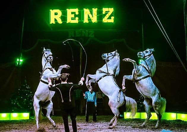 Circus Renz komt van 7 t/m 10 april naar Blauwestad - RTV GO! Omroep Gemeente Oldambt