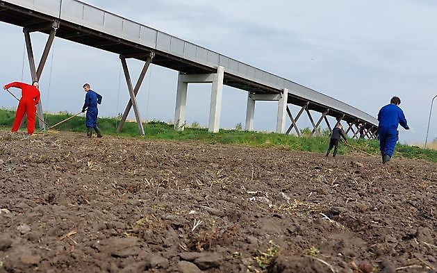 Leerlingen PrO zaaien een stuk grond in bij Pieter Smitbrug - RTV GO! Omroep Gemeente Oldambt